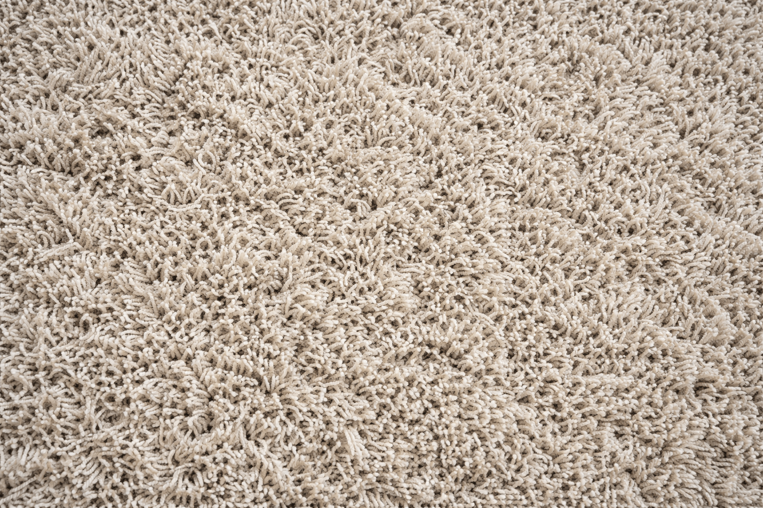 The Frieze Carpeting