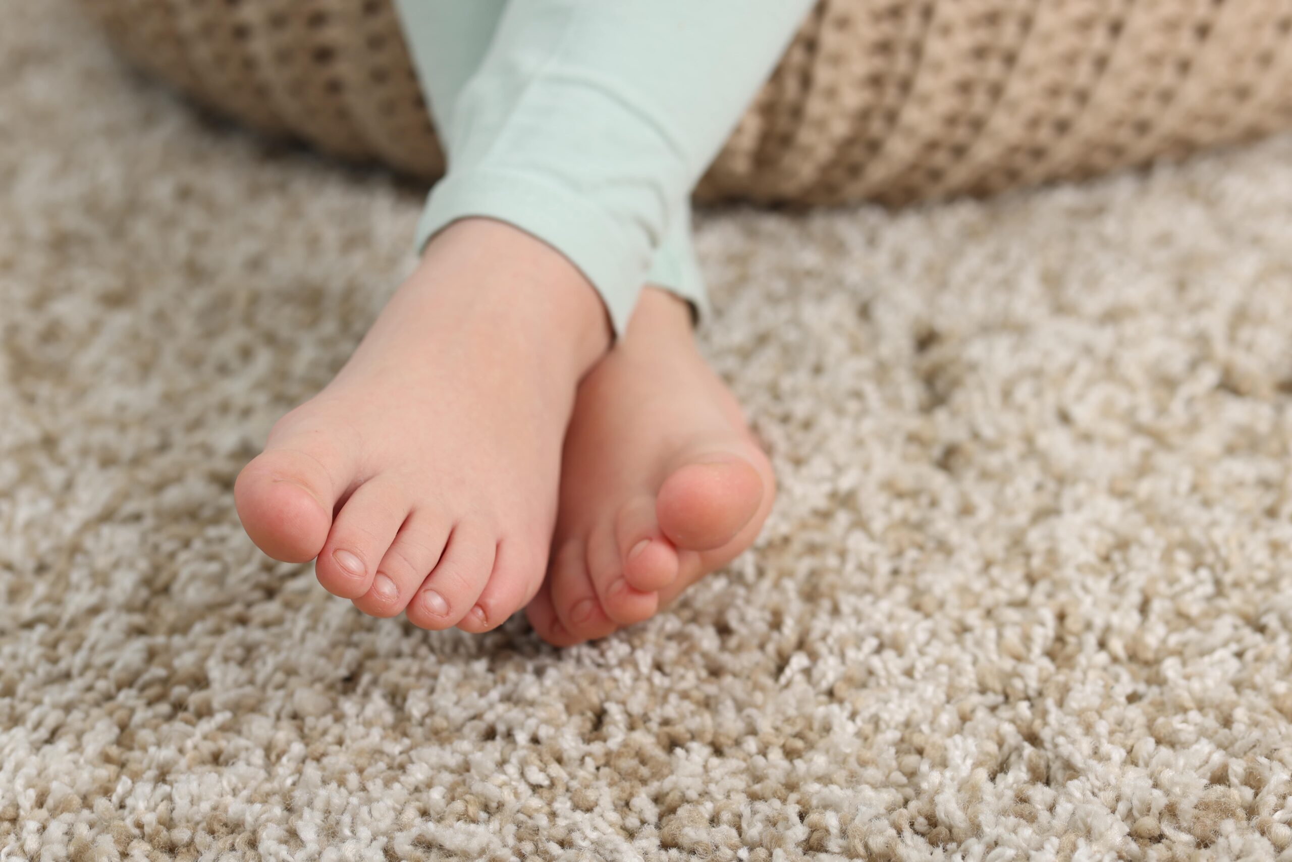 Wool Carpeting for Your Denver Home