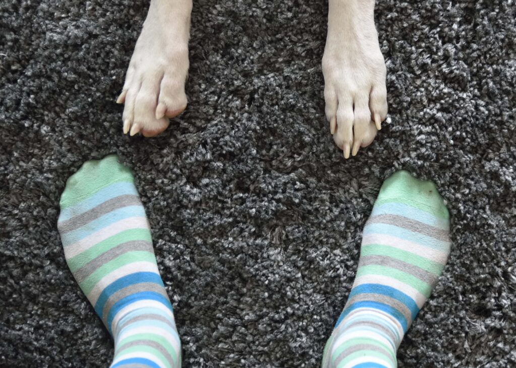 Kid-Friendly Flooring