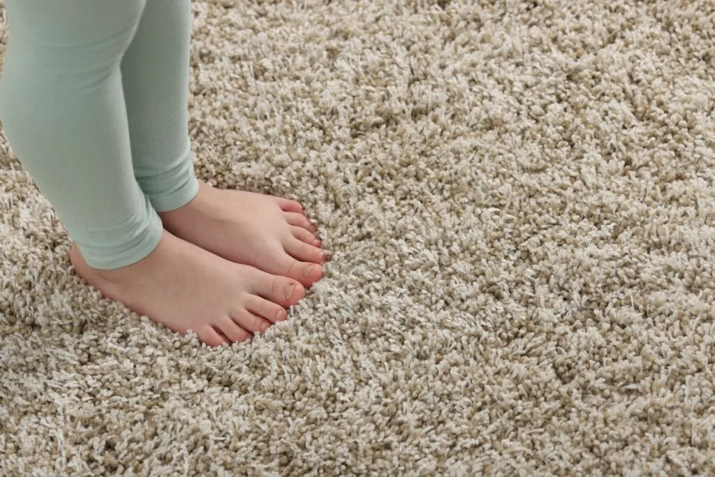 Carpet for high-traffic areas in denver