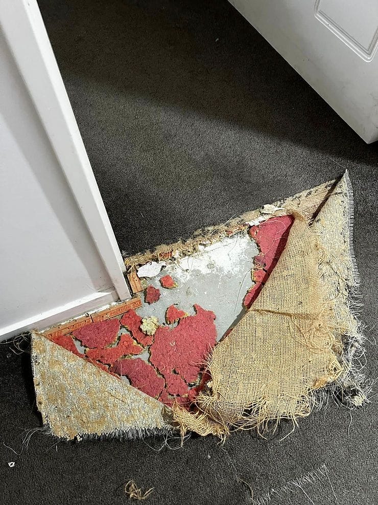 carpet removal services